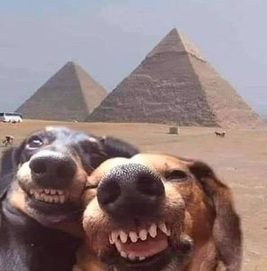 Meet your Posher, Ricky